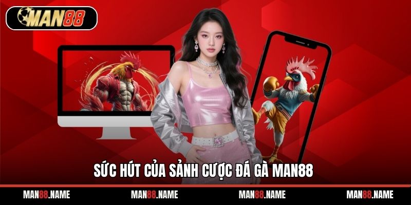 Sức hút của sảnh cược đá gà Man88